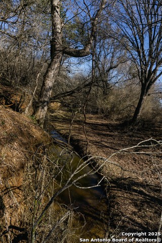 Image 9 of 14 For 445 Marrou Rd.