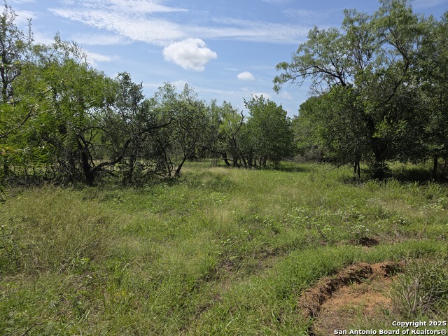 Details for 675 Lot 3 Marrou Rd., Seguin, TX 78155