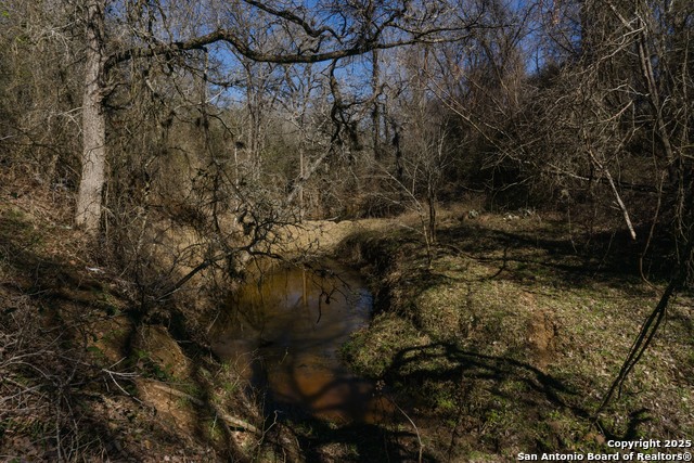 Image 10 of 15 For 485 Marrou Rd.