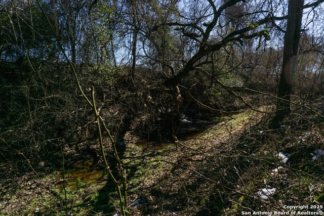 Image 11 of 15 For 485 Marrou Rd.