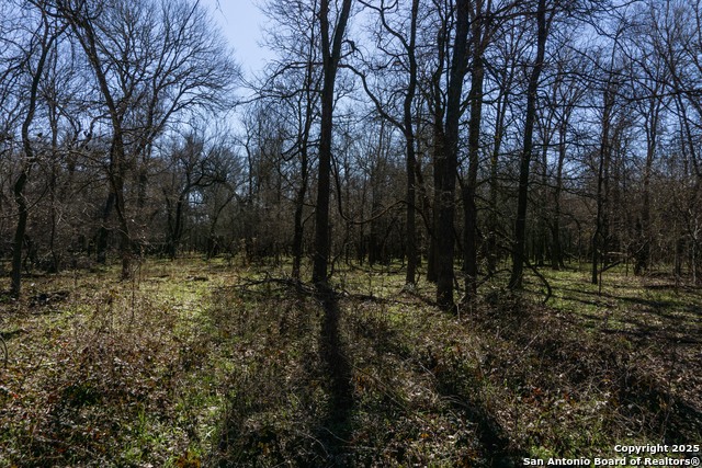 Image 12 of 15 For 485 Marrou Rd.