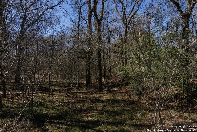 Image 13 of 15 For 485 Marrou Rd.