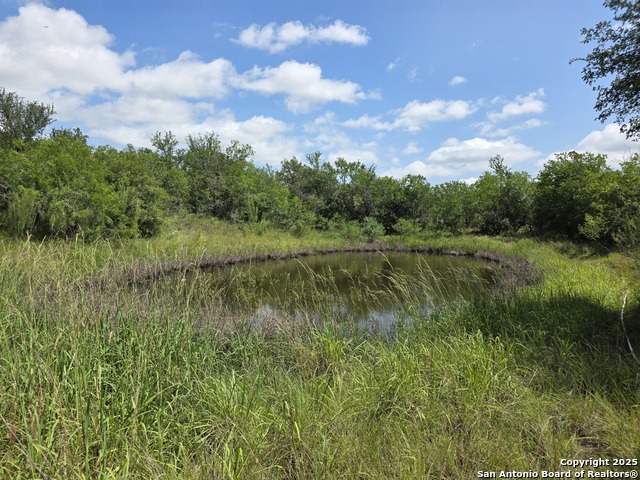 Image 2 of 15 For 485 Marrou Rd.