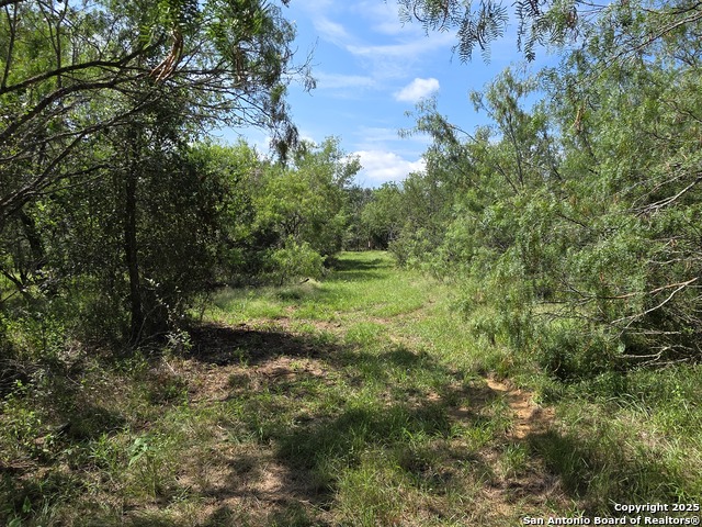 Image 3 of 15 For 485 Marrou Rd.