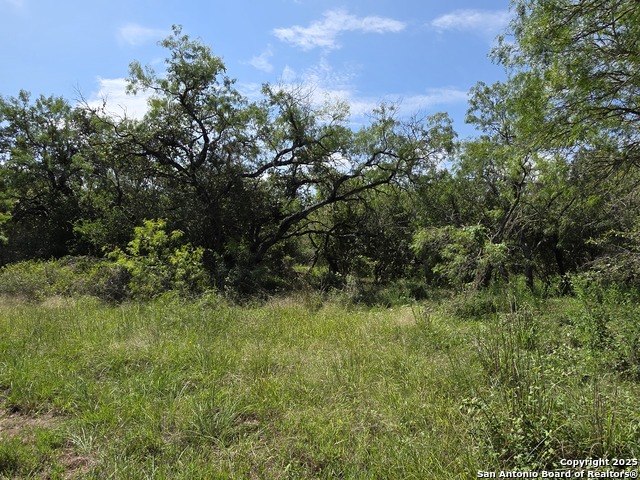 Image 4 of 15 For 485 Marrou Rd.