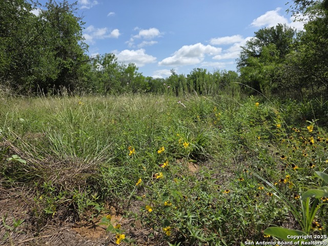 Image 5 of 15 For 485 Marrou Rd.