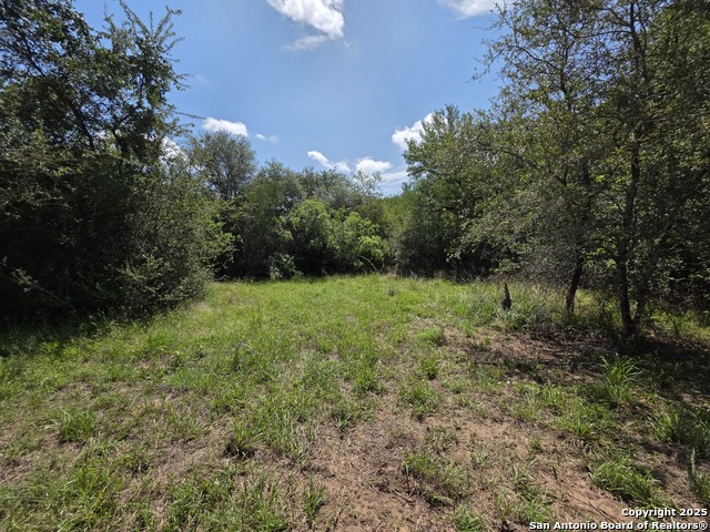 Image 6 of 15 For 485 Marrou Rd.