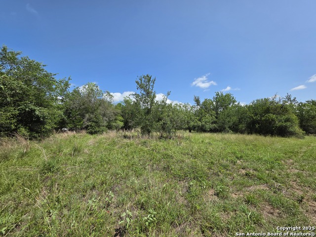 Image 7 of 15 For 485 Marrou Rd.