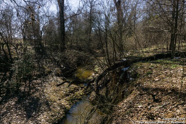 Image 8 of 15 For 485 Marrou Rd.