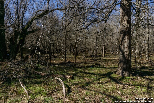 Image 9 of 15 For 485 Marrou Rd.