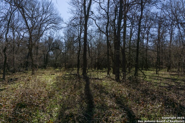 Image 10 of 14 For 525 Marrou Rd.
