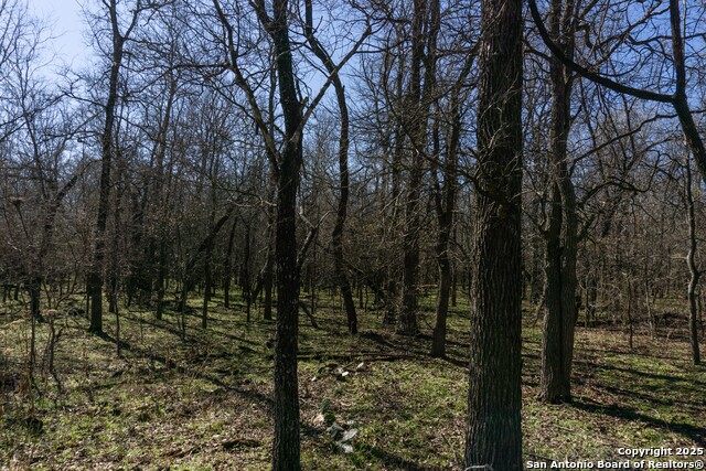 Image 11 of 14 For 525 Marrou Rd.