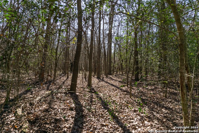 Image 12 of 14 For 525 Marrou Rd.