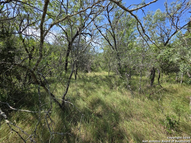 Image 3 of 14 For 525 Marrou Rd.