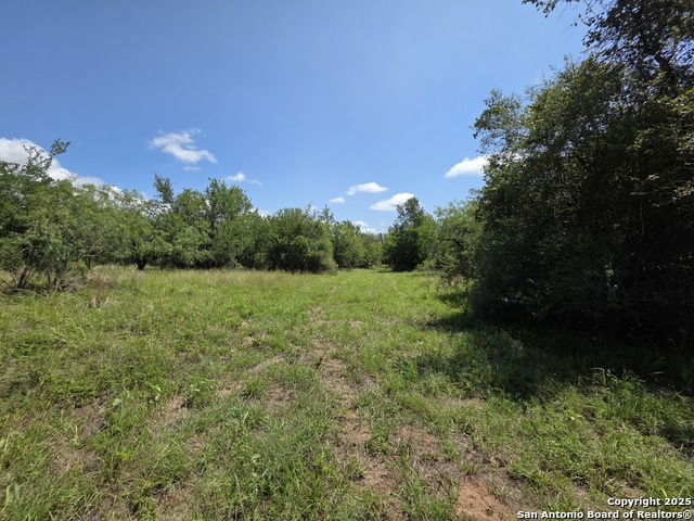Image 4 of 14 For 525 Marrou Rd.