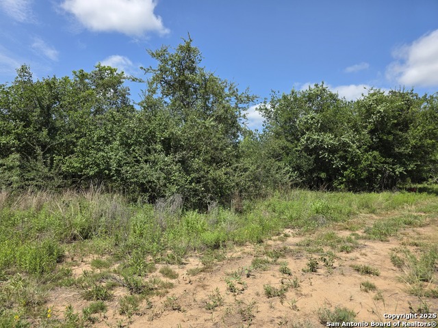 Image 5 of 14 For 525 Marrou Rd.