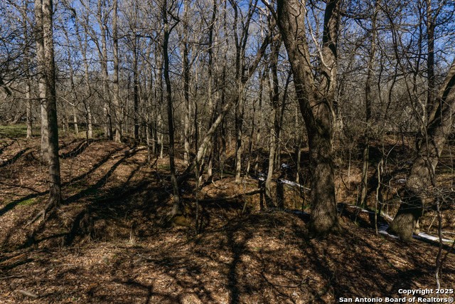 Image 7 of 14 For 525 Marrou Rd.