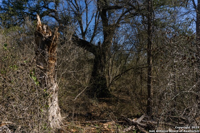 Image 8 of 14 For 525 Marrou Rd.