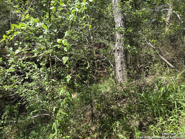 Image 10 of 24 For 565 Marrou Rd.
