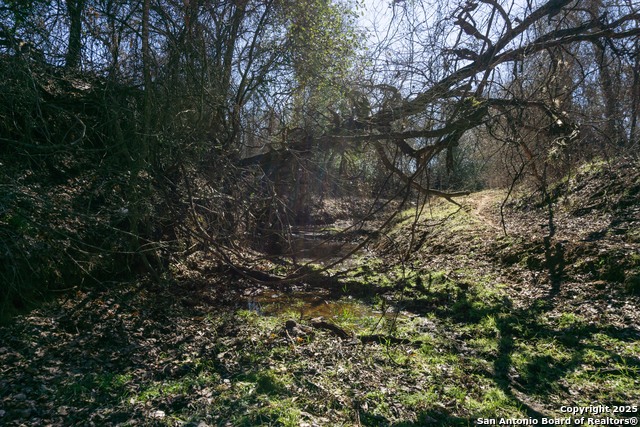 Image 13 of 24 For 565 Marrou Rd.