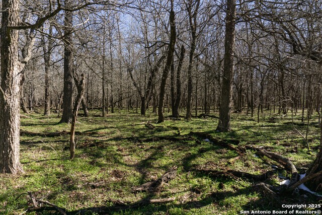 Image 14 of 24 For 565 Marrou Rd.