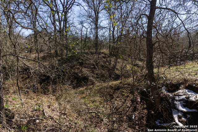 Image 15 of 24 For 565 Marrou Rd.