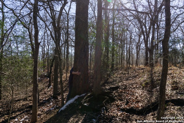 Image 18 of 24 For 565 Marrou Rd.