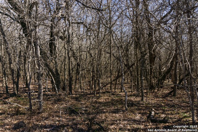 Image 19 of 24 For 565 Marrou Rd.