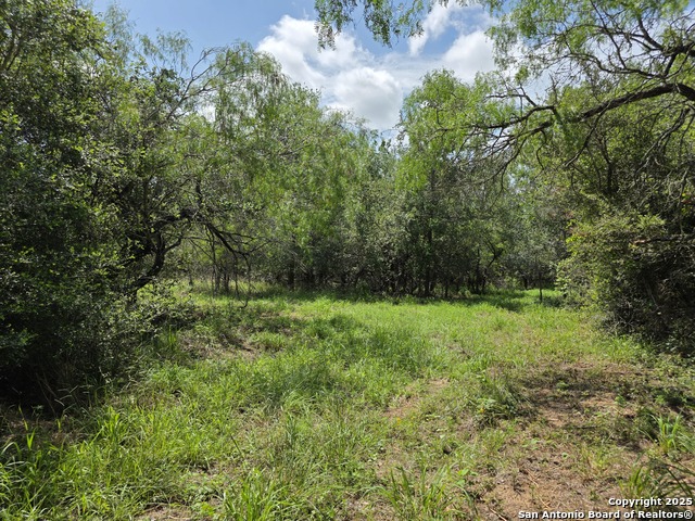 Image 2 of 24 For 565 Marrou Rd.