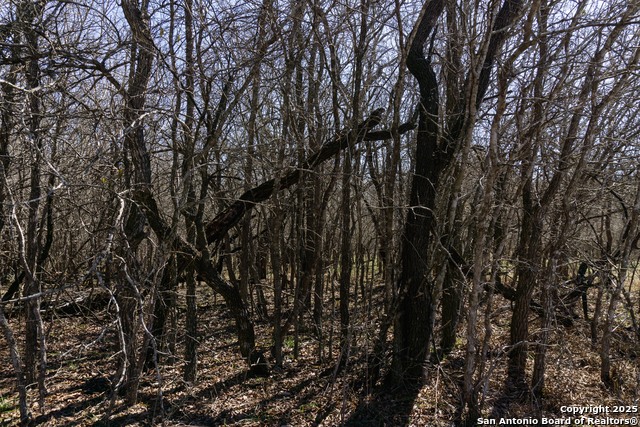 Image 20 of 24 For 565 Marrou Rd.
