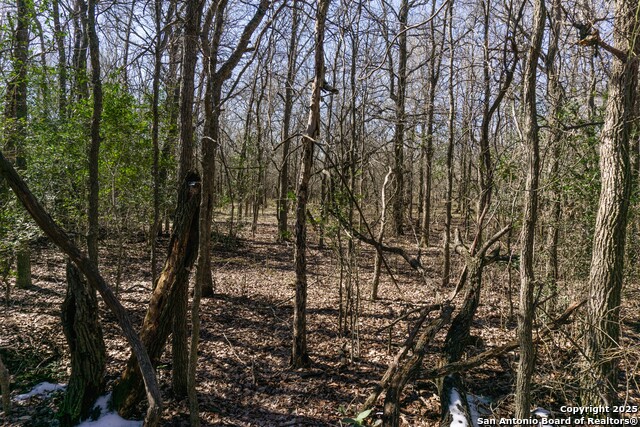 Image 21 of 24 For 565 Marrou Rd.