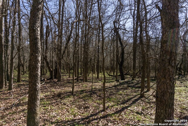 Image 22 of 24 For 565 Marrou Rd.