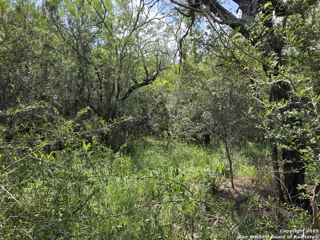 Image 4 of 24 For 565 Marrou Rd.