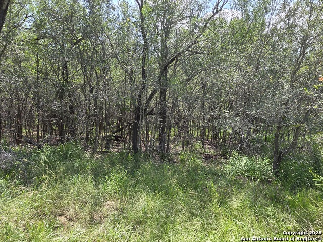 Image 5 of 24 For 565 Marrou Rd.