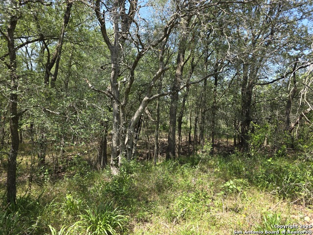 Image 7 of 24 For 565 Marrou Rd.