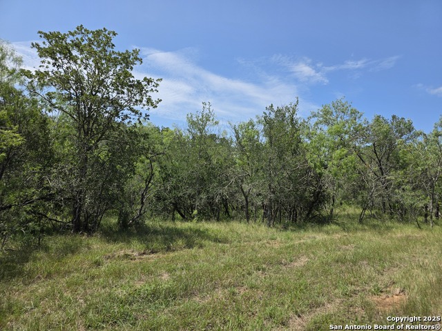 Image 8 of 24 For 565 Marrou Rd.