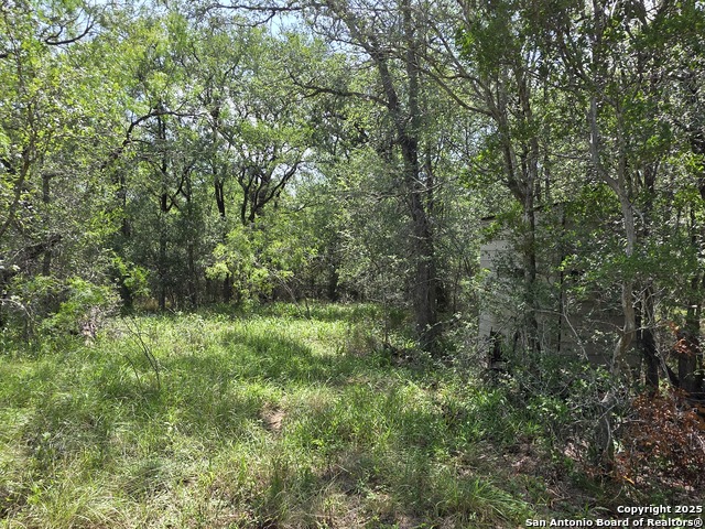 Image 9 of 24 For 565 Marrou Rd.