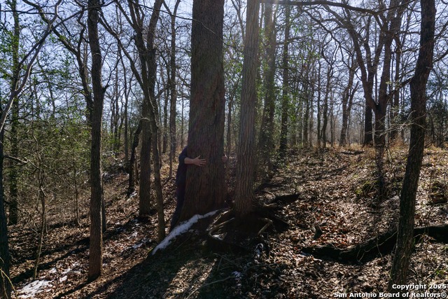 Image 13 of 20 For 605 Marrou Rd.