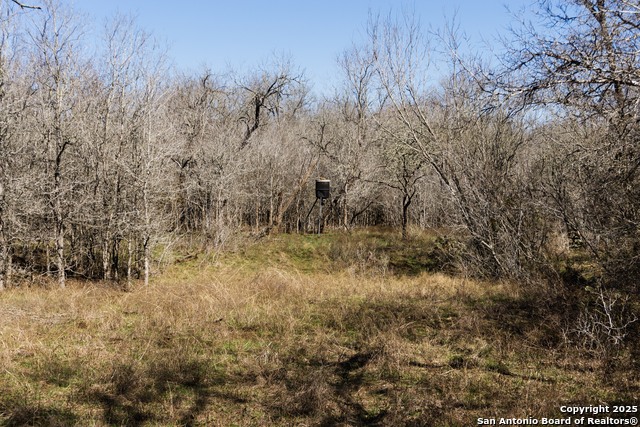 Image 14 of 20 For 605 Marrou Rd.