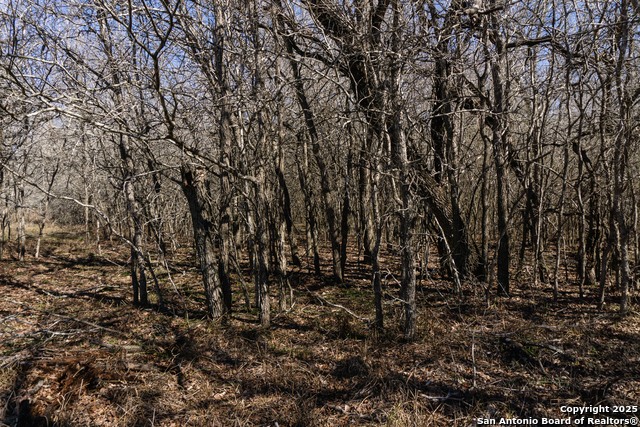 Image 16 of 20 For 605 Marrou Rd.