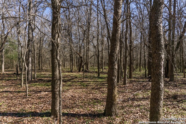 Image 17 of 20 For 605 Marrou Rd.