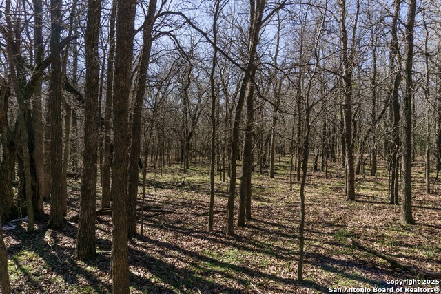 Image 18 of 20 For 605 Marrou Rd.