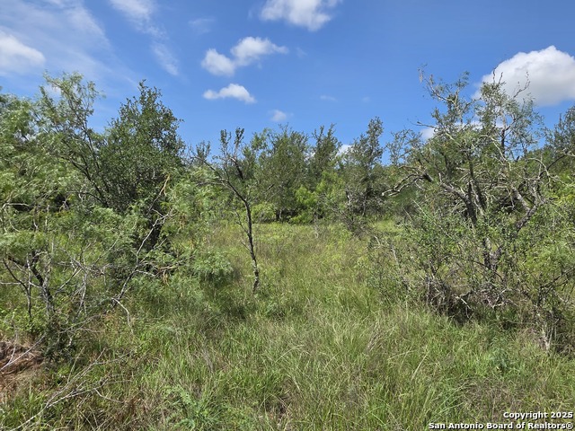 Image 2 of 20 For 605 Marrou Rd.