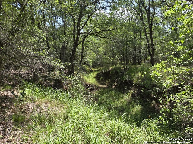 Image 5 of 20 For 605 Marrou Rd.