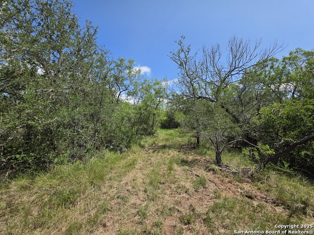 Image 7 of 20 For 605 Marrou Rd.
