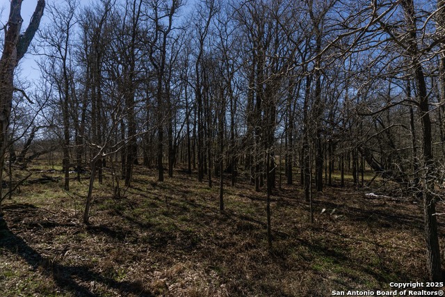 Image 10 of 15 For 645 Marrou Rd.