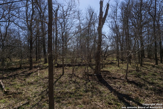 Image 11 of 15 For 645 Marrou Rd.