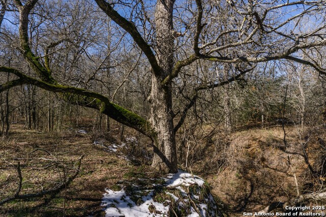 Image 12 of 15 For 645 Marrou Rd.