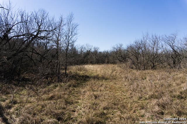 Image 13 of 15 For 645 Marrou Rd.