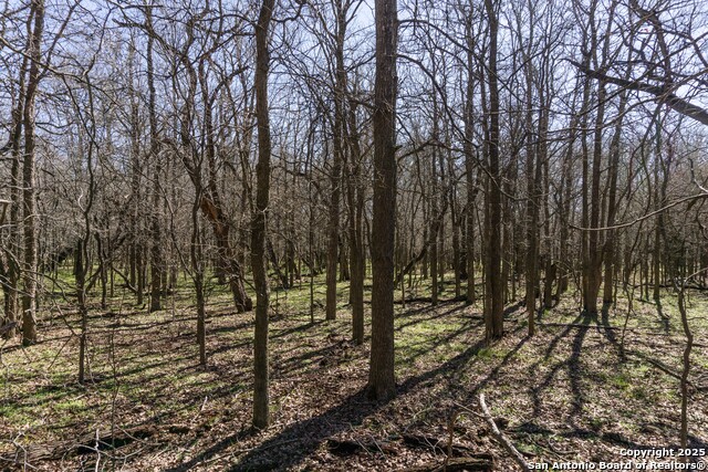 Image 14 of 15 For 645 Marrou Rd.